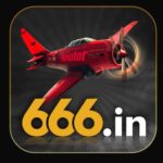 666.in